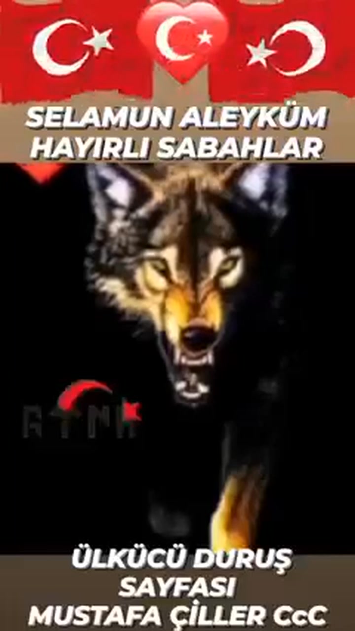 #Selamun #Aleyküm #Hayırlı #Sabahlar #CcC | Mustafa Çiller