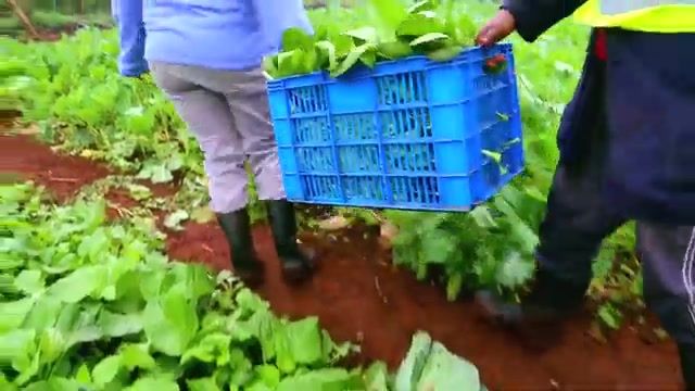 FreshPro | Nairobi