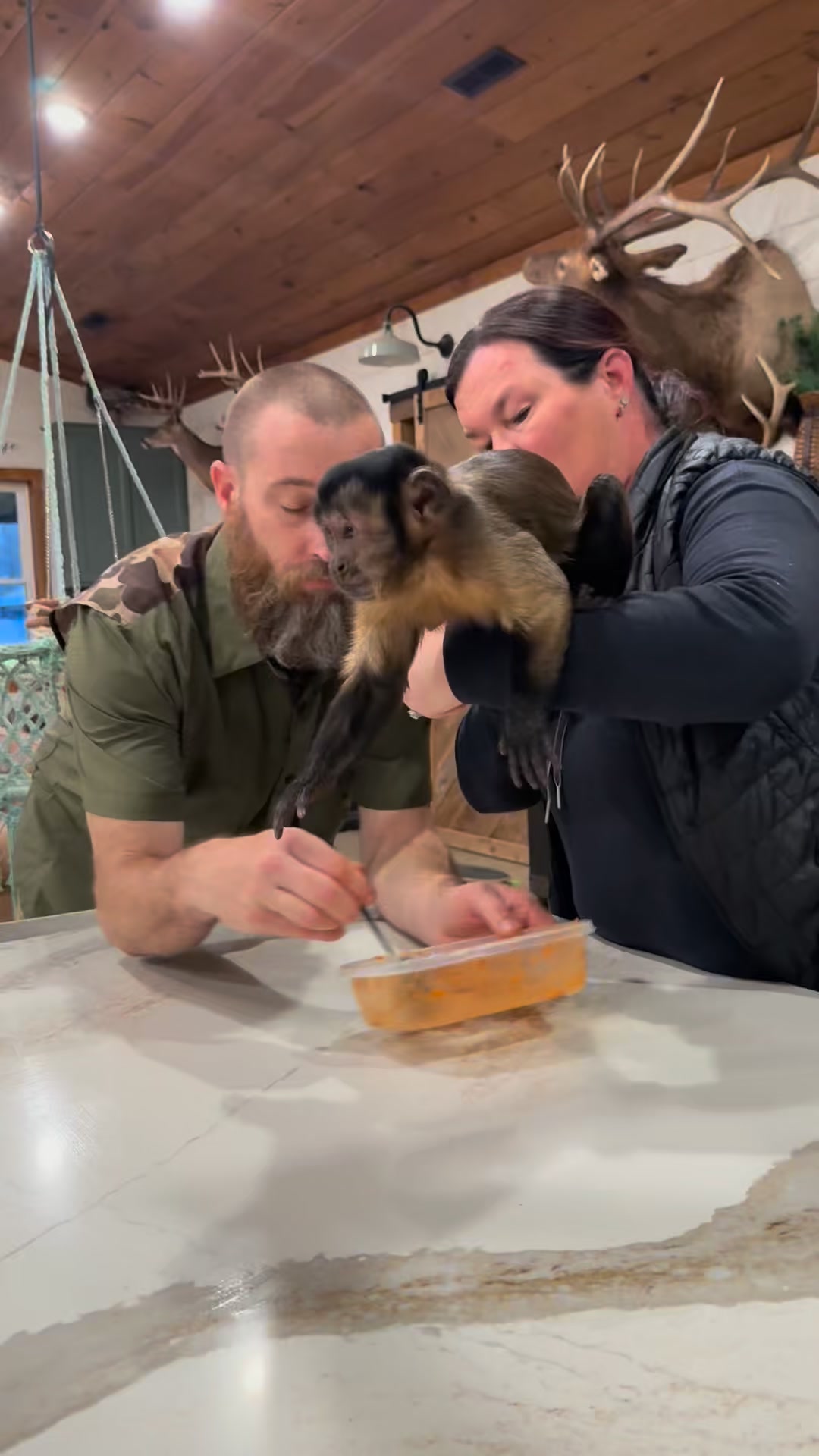 Bear enjoying his lasagna ️ | Clanton Ridge Farm | Facebook