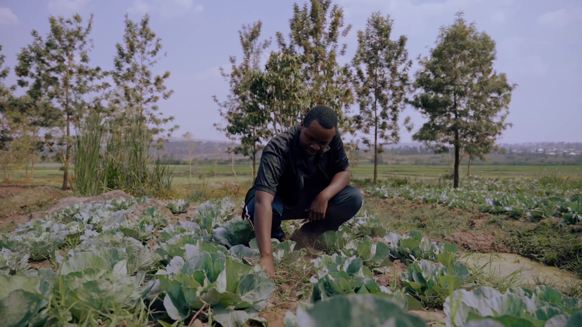 Meet Patrick from Rwanda, a passionate poultry farmer who more than ...