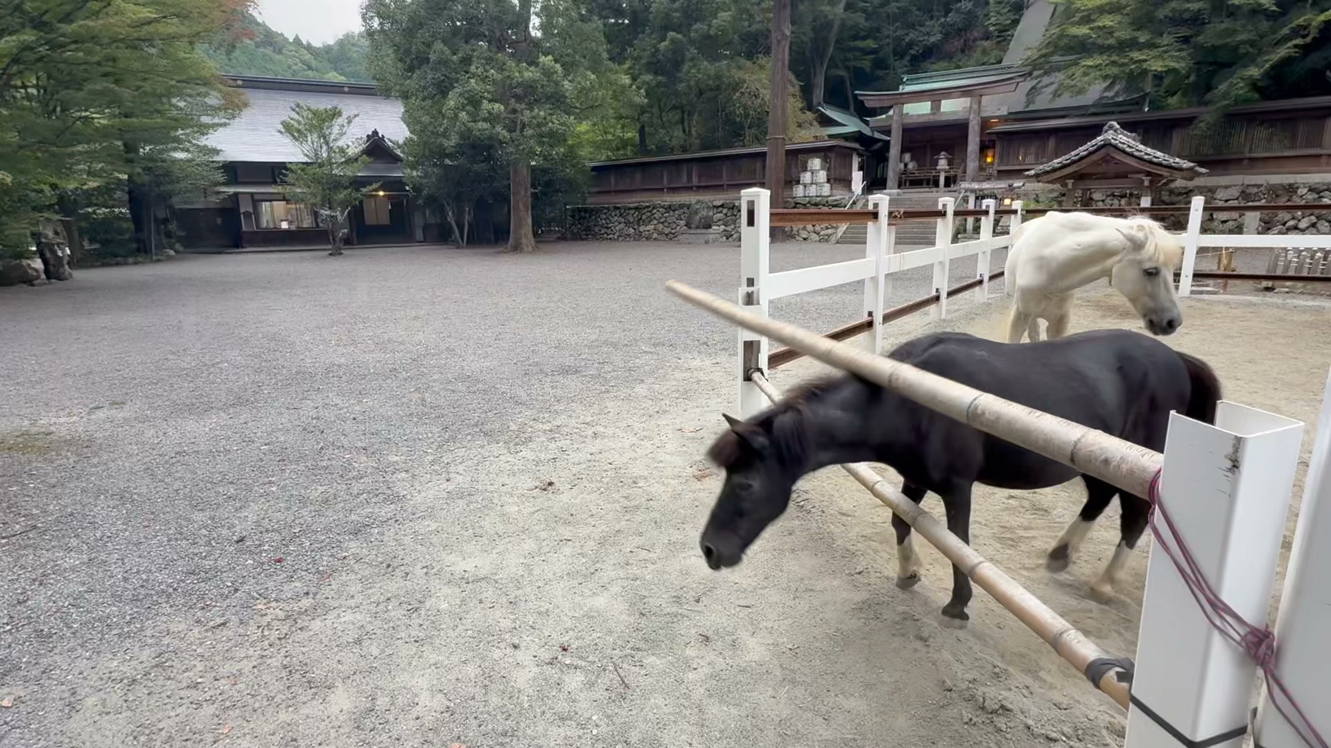 丹生川 上 神社 下 社