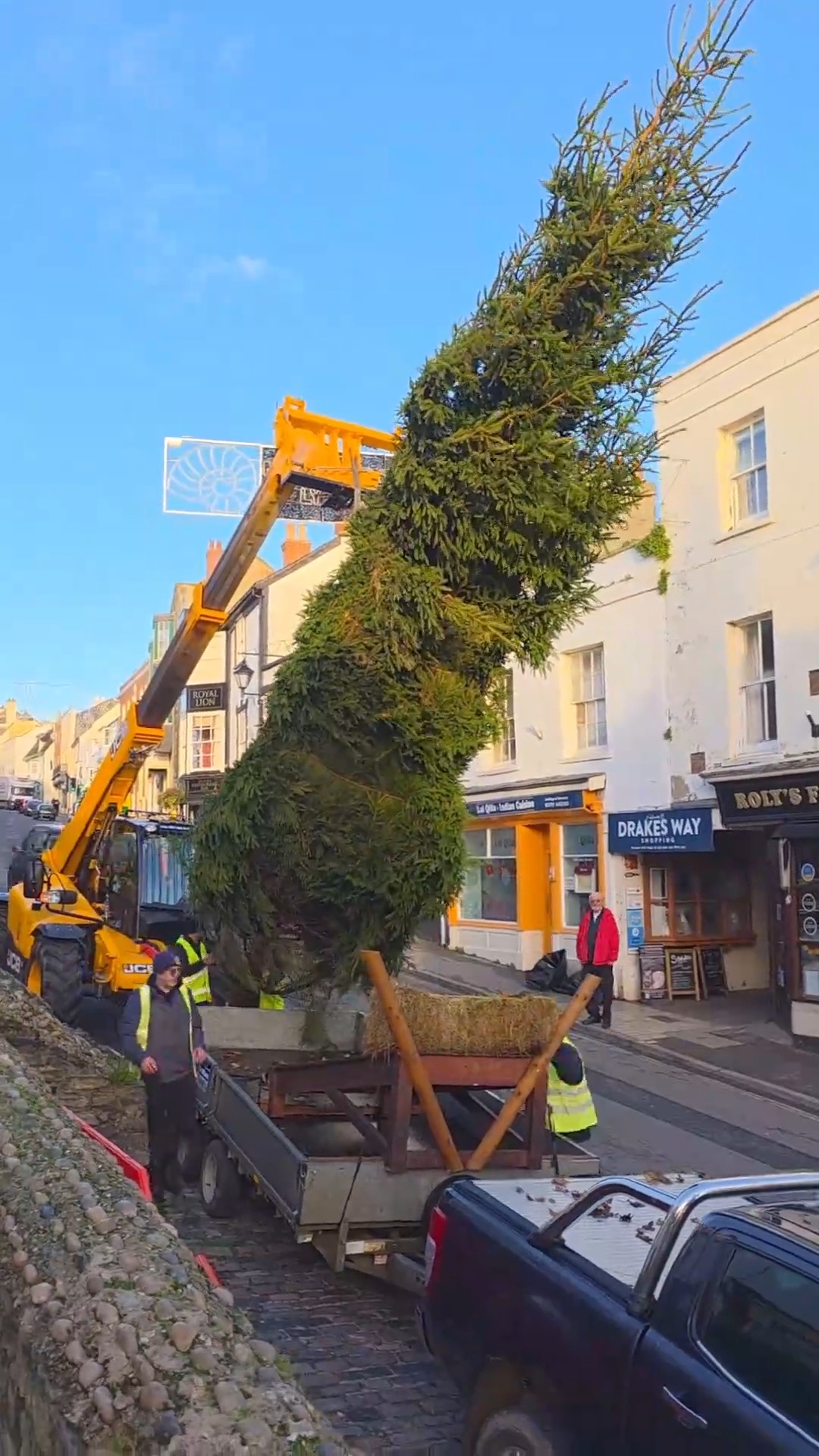 Christmas is coming! The tree was lifted into place today in ...