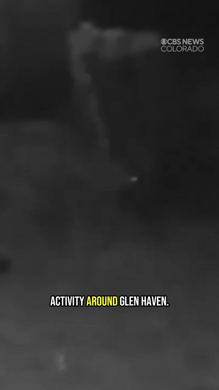 In the aftermath of a woman's apparent killing by a mountain lion on a ...