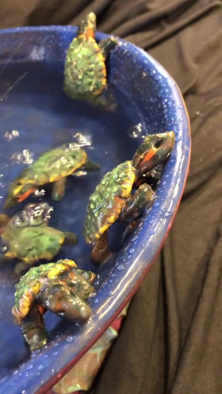 Jaymes Dudding, Artist