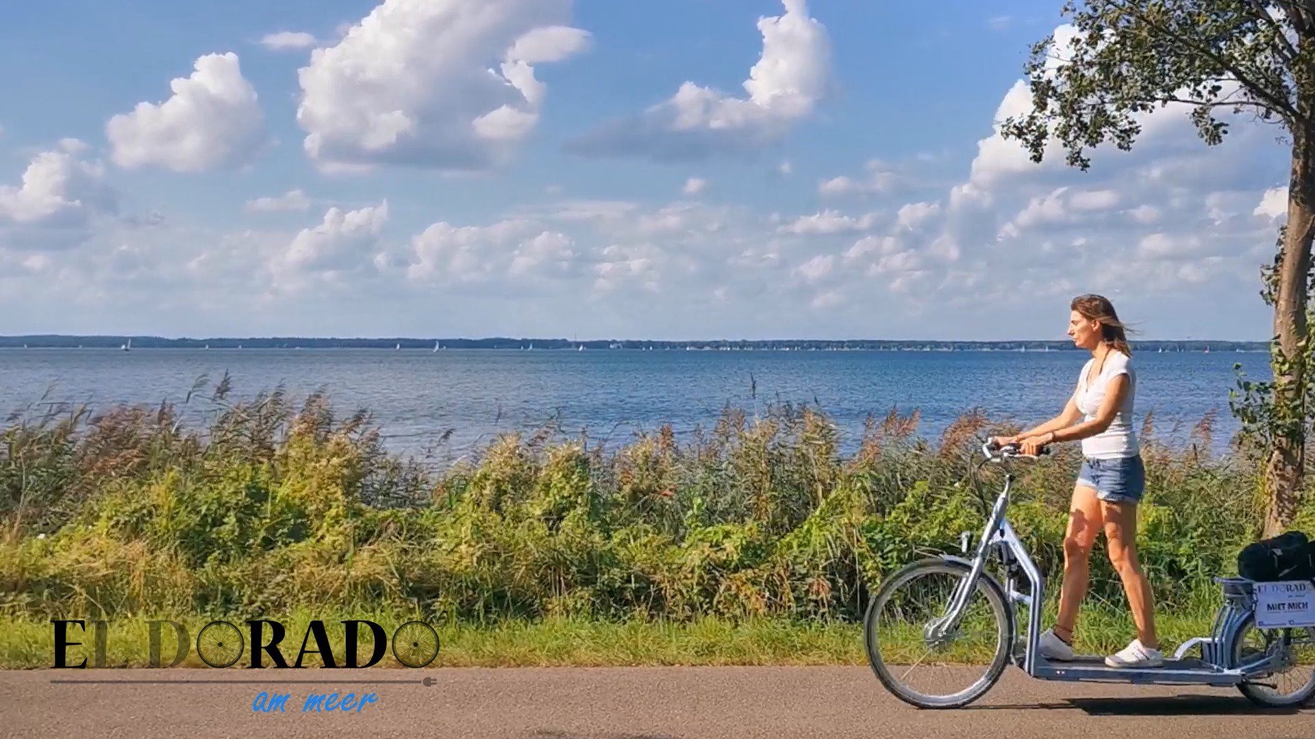 fahrradtaschen sattel Rhinowalk Mini Fahrradsatteltasche – 0,4L Unter-Sattel Tasche wasserdicht mit Reflektor, Reißverschluss & Innentasche – Kompakt für Werkzeuge, Geld, Mit diesem einfachen Trick E-MTB Vollgefedert Farbe:Transparent Blau-B