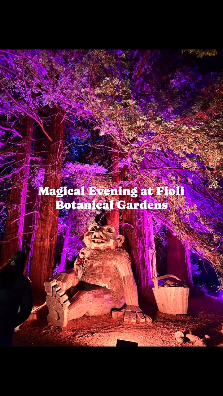 Had the most magical experience with my family at Fioli’s Halloween ...