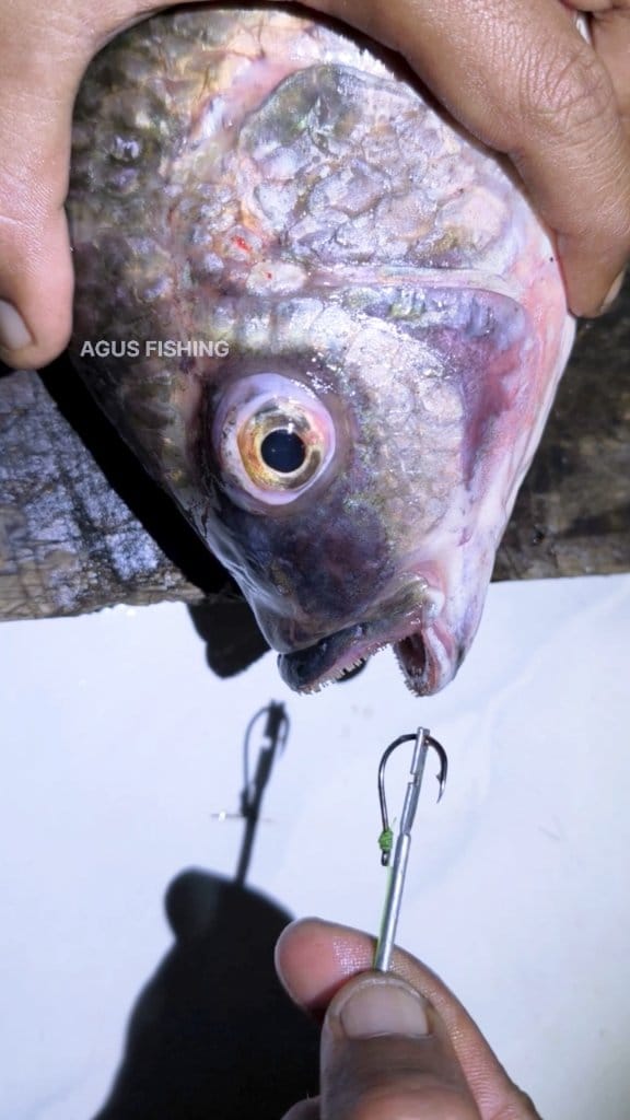 af fishing lures AFTCO Blue Fever Digger Lure / Blue Mack / 112g, 140mm Fishing Planet | #1 these flies have been Color:Salt N’ Pepper l1:commercial-beverage-systems