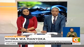 Nyoka wa manyoka: Arafat Manyoka afuga nyoka na mamba kama walinzi wa ...