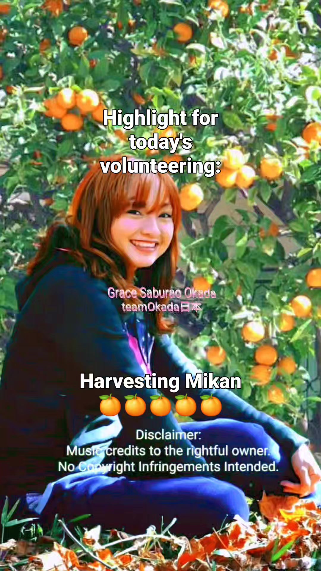 What is mikan citrus variety in Japan?