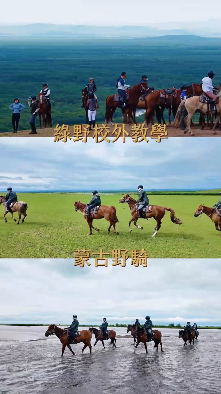 馬術讀本 📖好書分享📖 【101 Ground Training Exercises】 作者是Cherry Hill