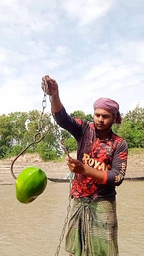 Technique Of Catching Big Fish Using Papaya Bait. #fishing # ...