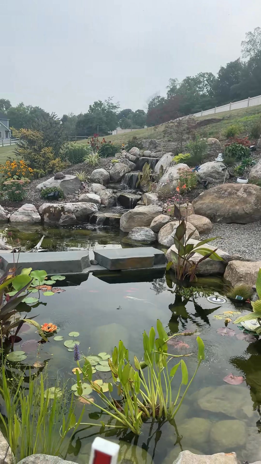 A backyard built for shell-ebrating life! 🐢 We design and build custom ...