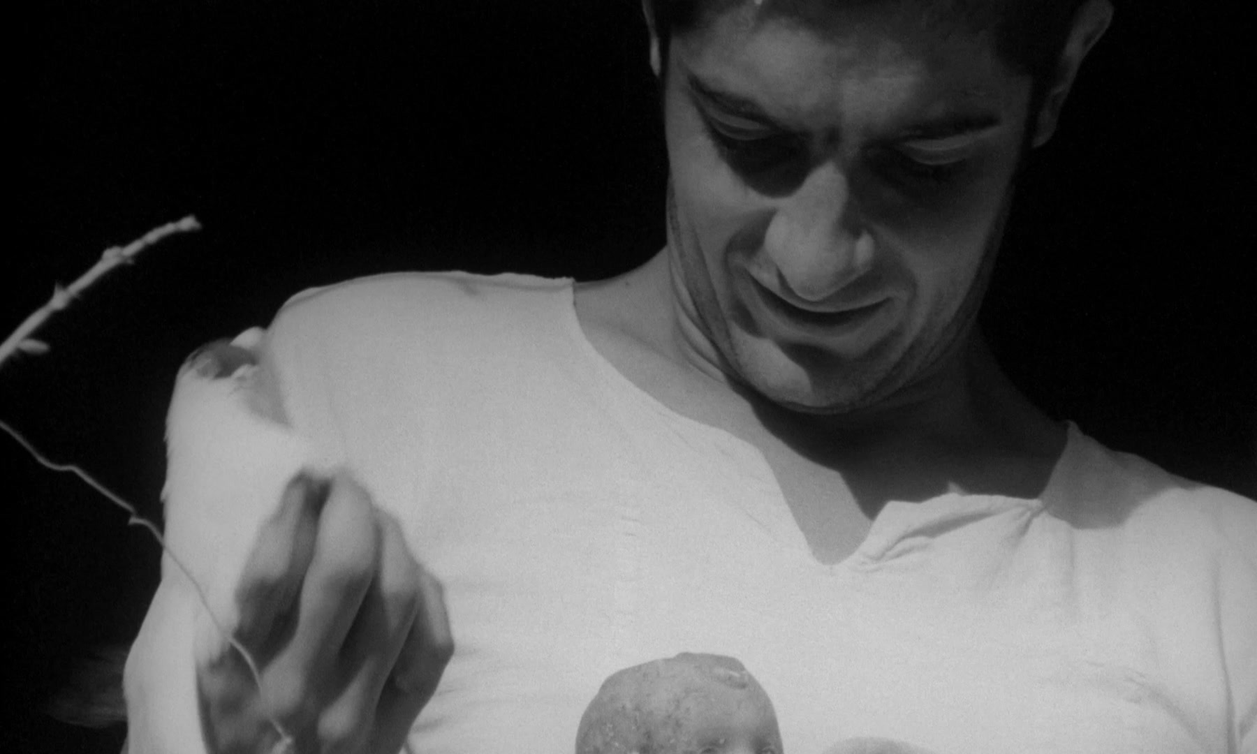 New on Avila ↓, 'Wedding Trough' [Vase de noces] (1974) by Thierry Zéno, a poem without words which lays bare the primary impulses that bind man to the world and the animals. The film caused a scandal