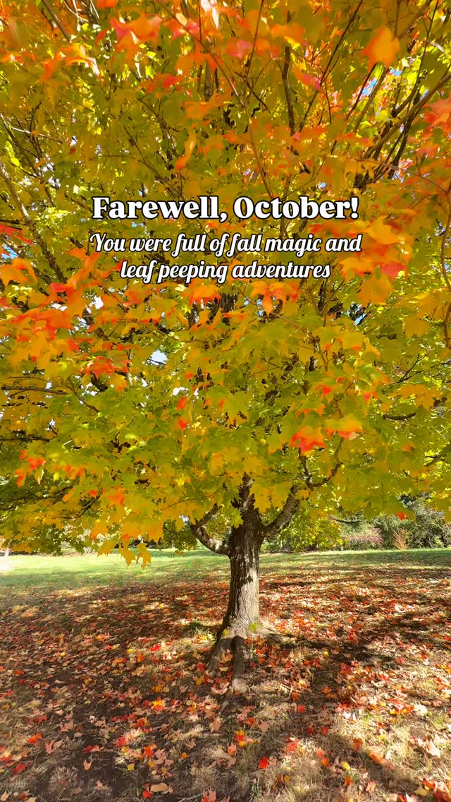 I can’t believe how fast fall flew by! Thankful for October - full of ...