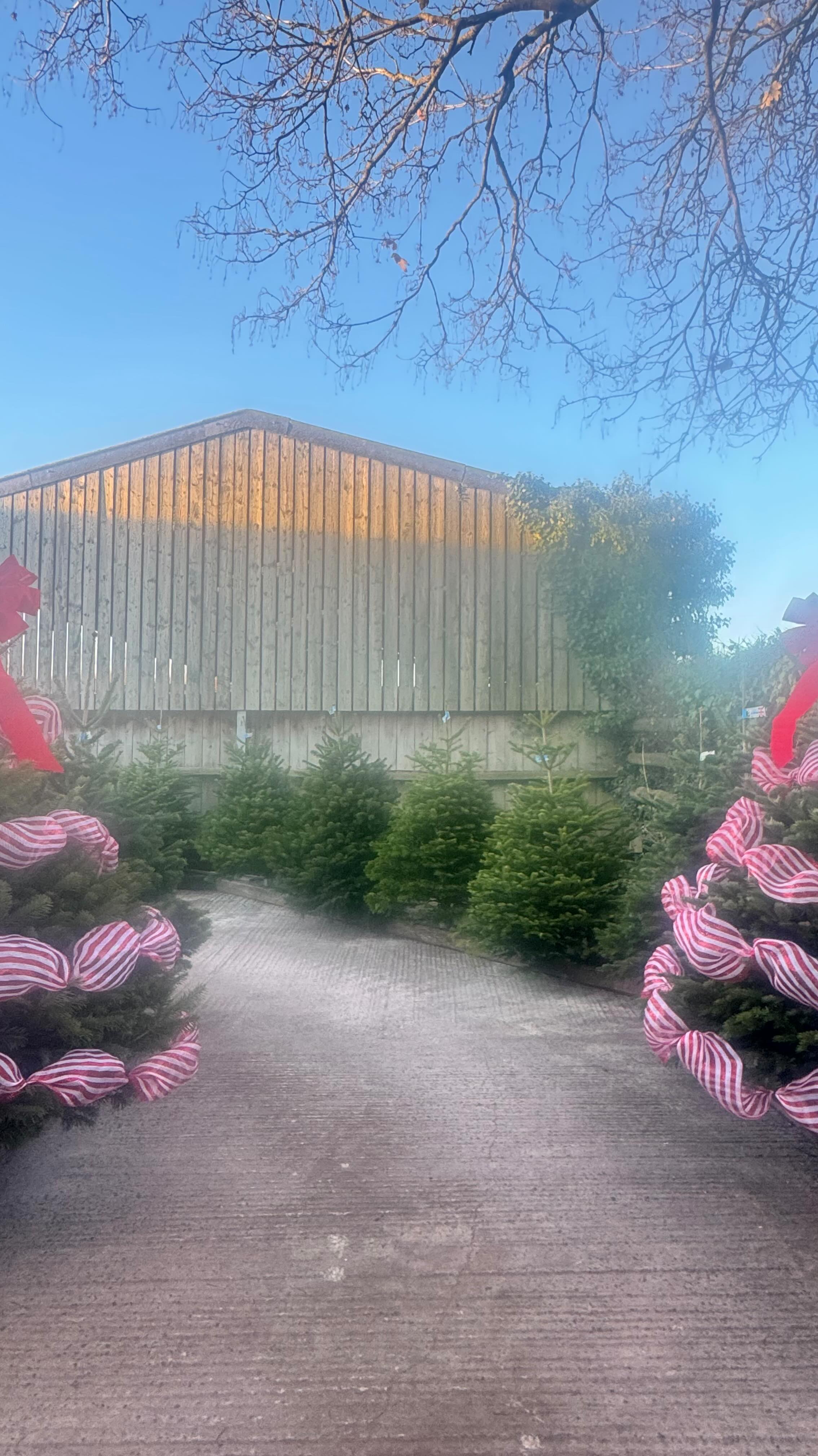 We’re just about ready to sell some trees!!! We can’t wait to see you ...