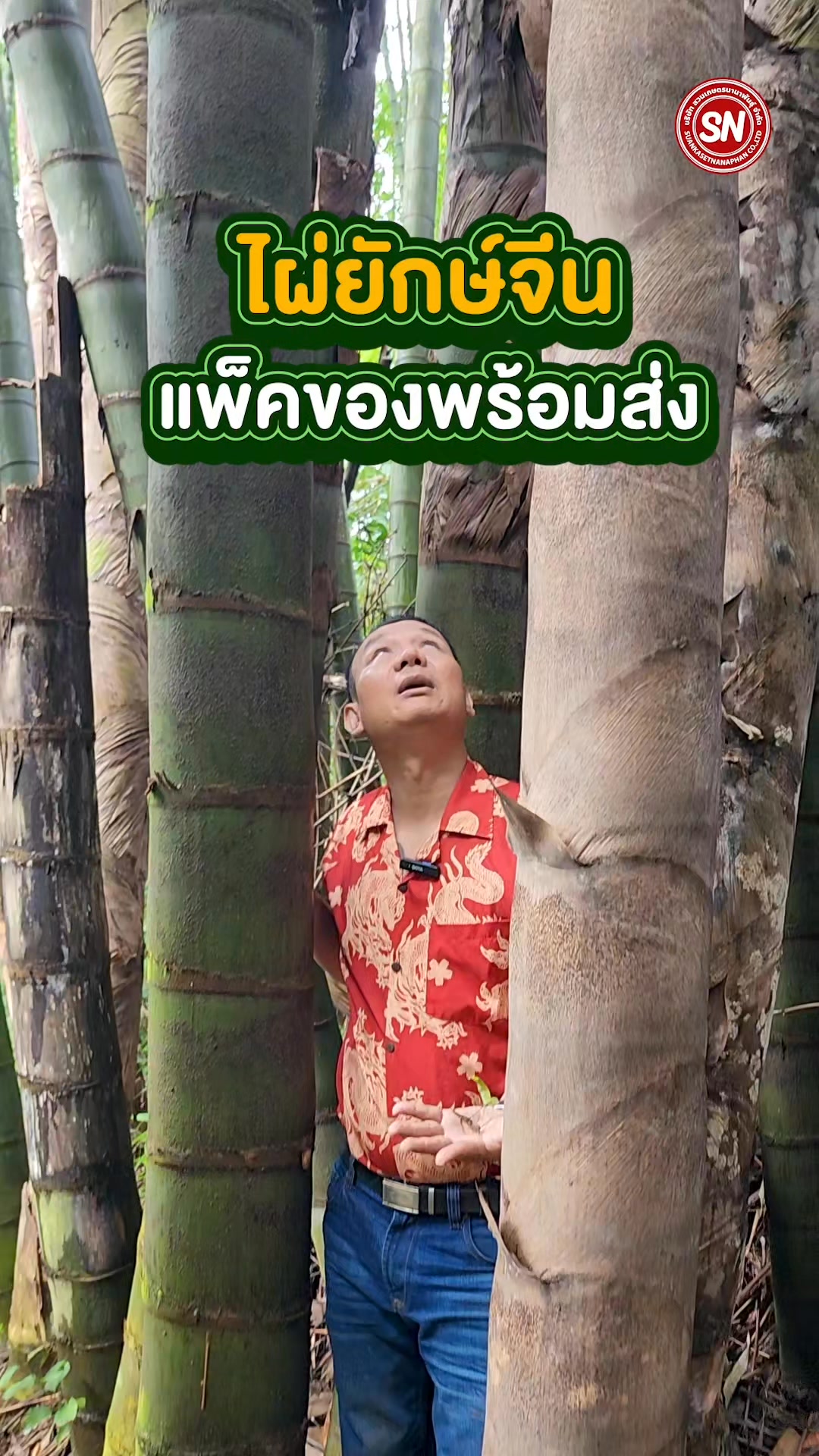 เตรียมอบรมสัมนาหอยขมยักษ์รัตนะ โดยสวนเกษตรนานาพันธุ์ฟาร์มต้นตำหรับ ...