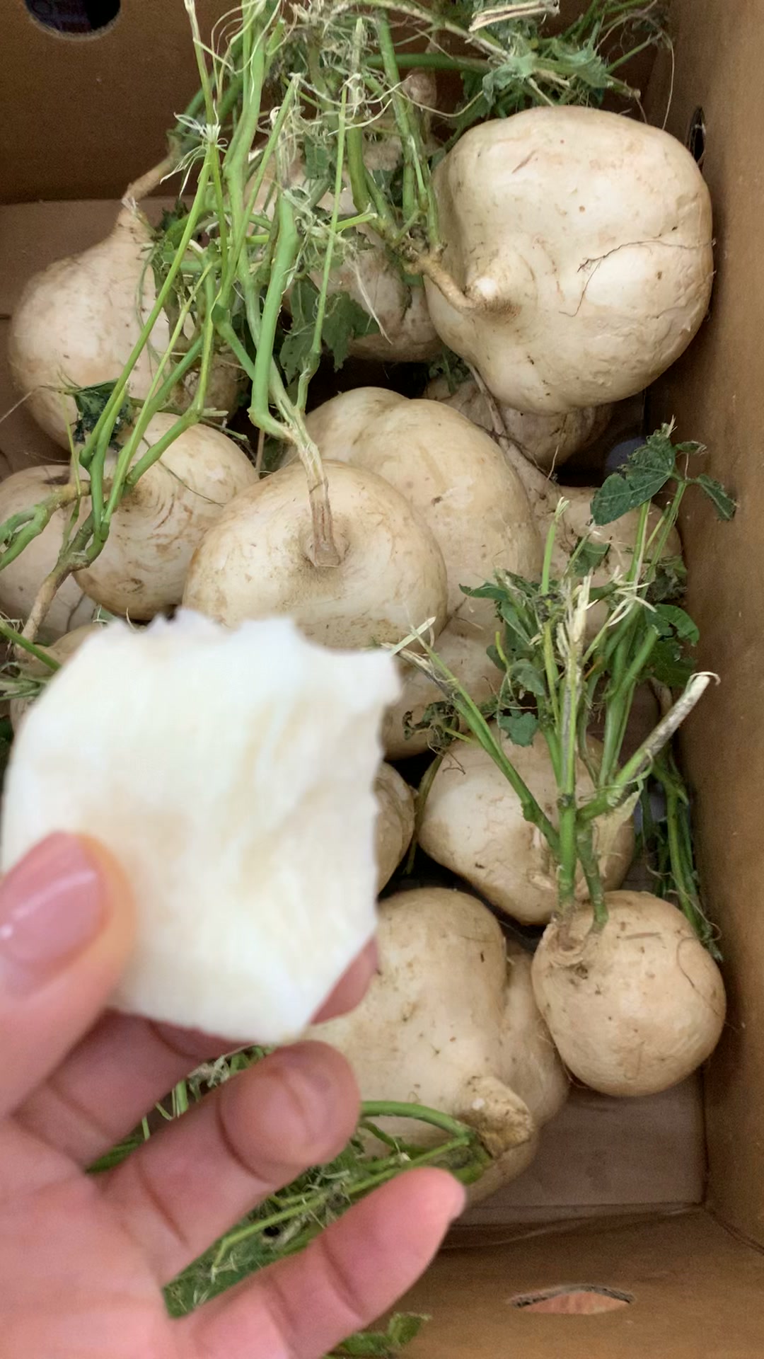 Yu Yu Asian Market added a new photo. - Yu Yu Asian Market