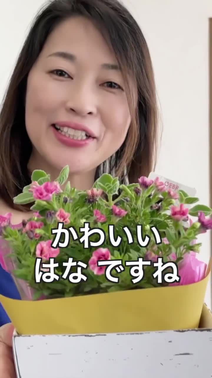 はな “flower” or “nose”? #japaneselanguage #nihongo