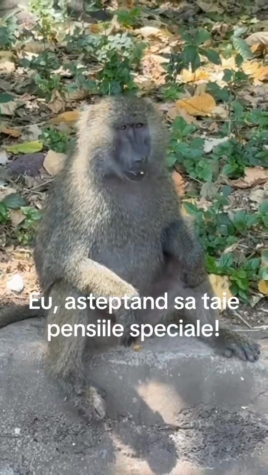 Discursul președintelui nostru de acum 5 minute de la Cam de Comert Ro ...