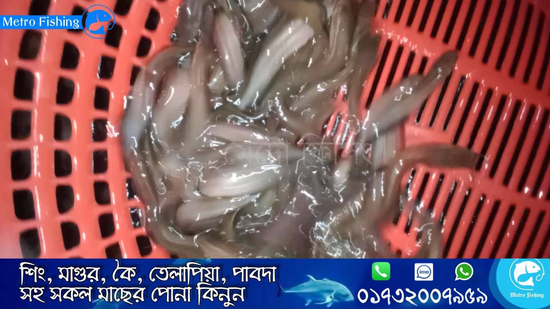 Metro Fishing - Home | Facebook