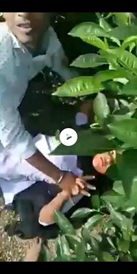 Jungle mein Mangal | Jungle Mein Mungal | By Desi Girl Here | Facebook