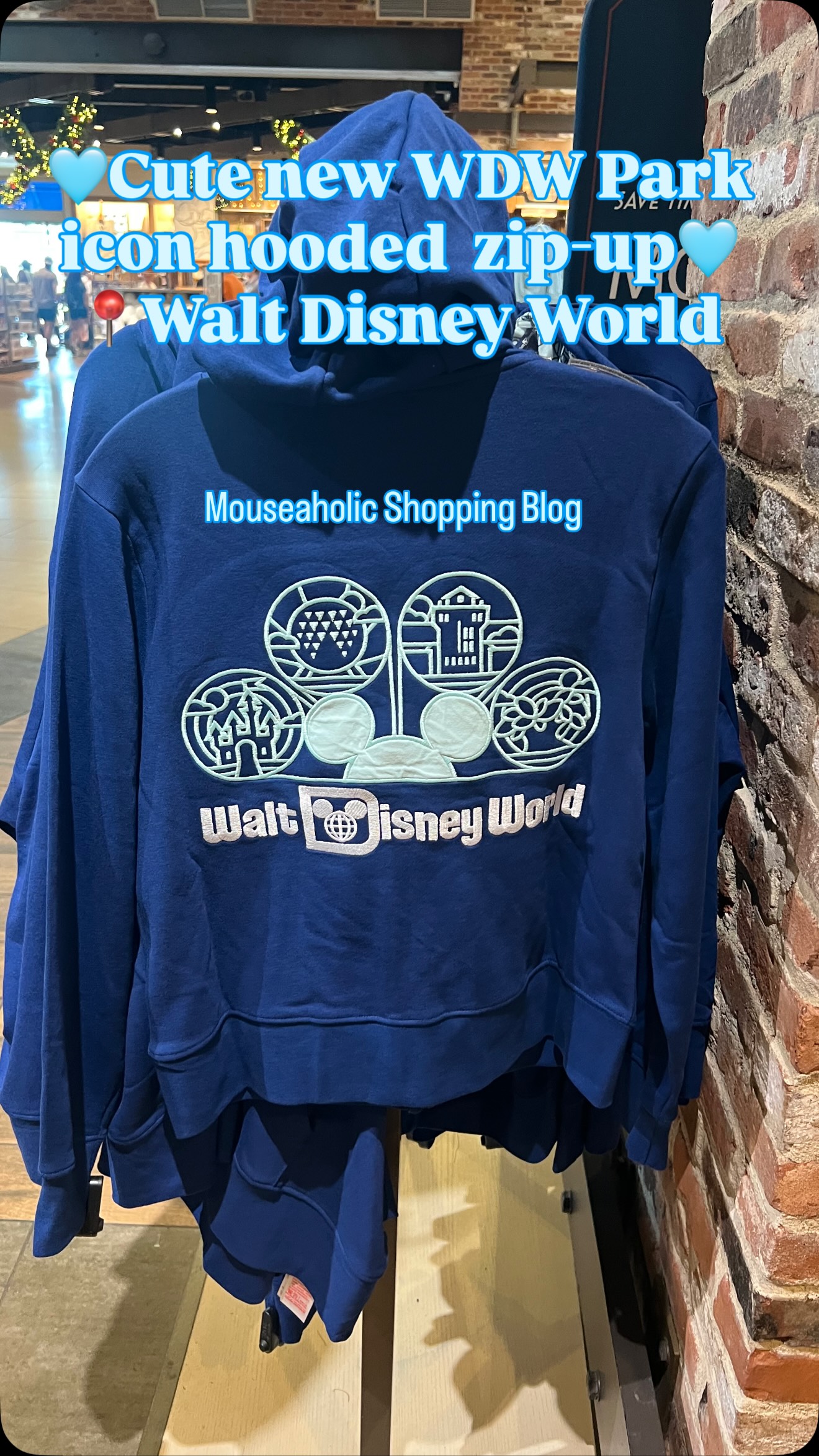 ?✨Super cute NEW WDW park icons zip-up hooded sweatshirt 