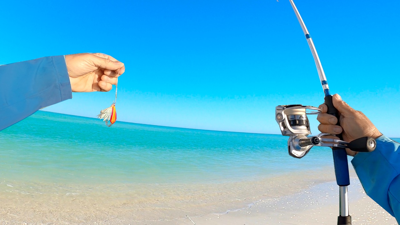 Spanish Mackerel Catch n' Cook | Rad Reeling Fishing | Facebook