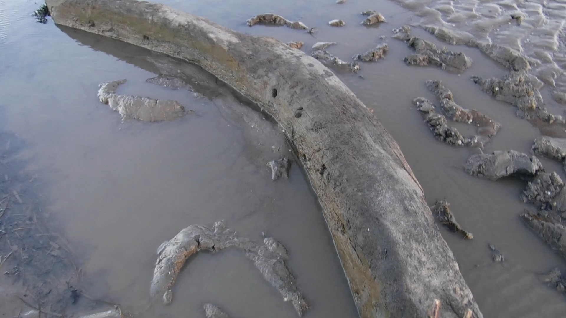 Boat or part of a building...? A Severn estuary intertidal zone mystery ...