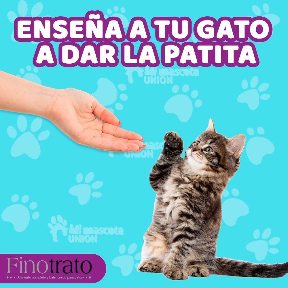 ?media id=331582341328641&get thumbnail=1