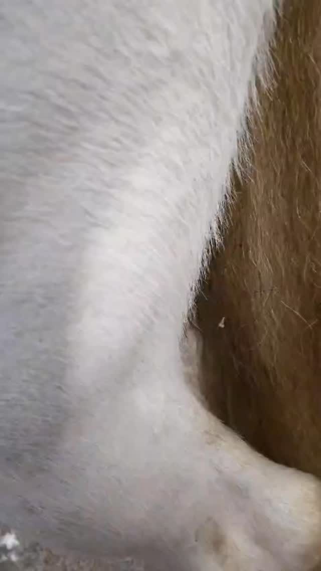 476768_4