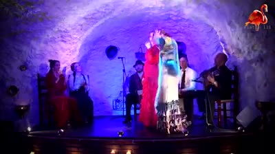 GRANADA, A TERRA DO FLAMENCO (A fuga geral dos ciganos
