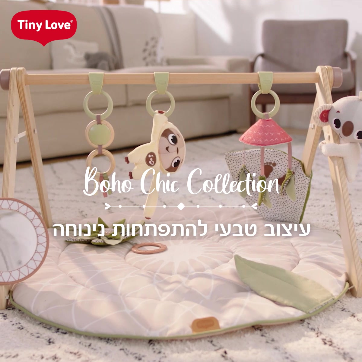 שילב - Home