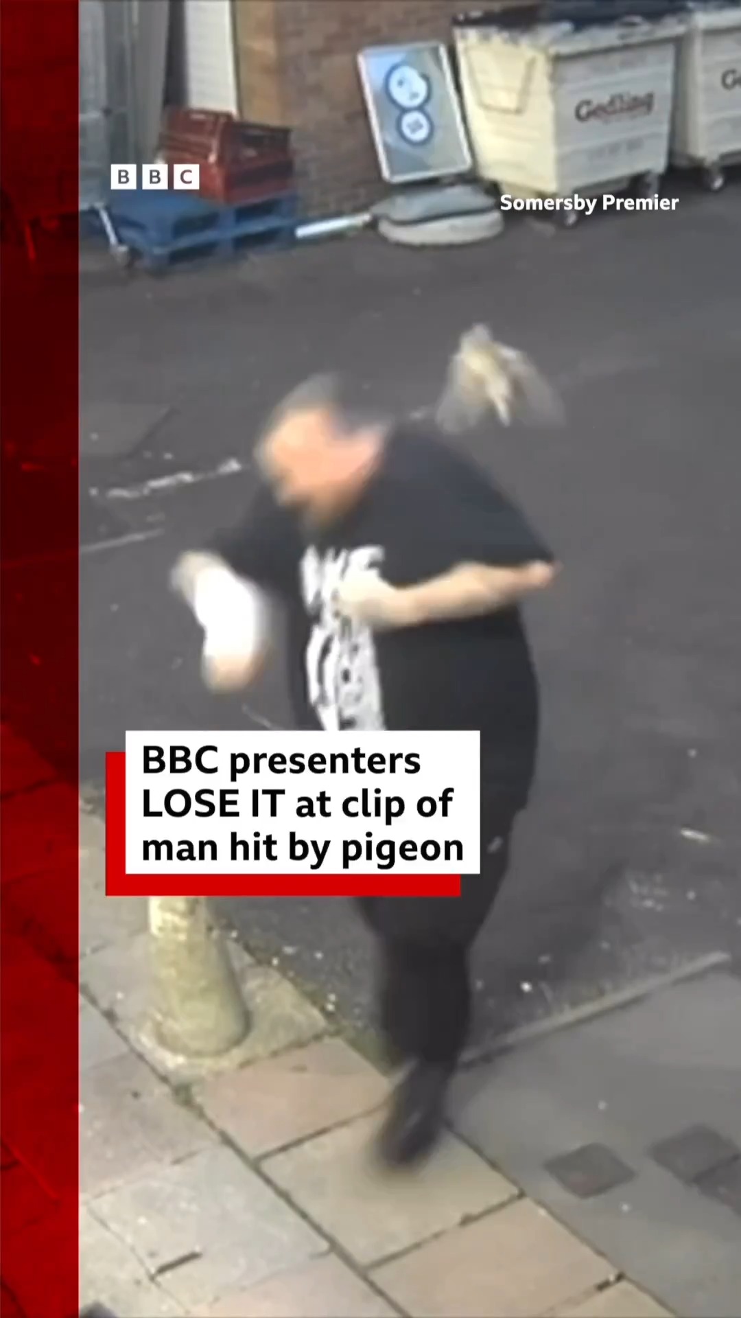 This is the moment a man was hit in the face by a pigeon… 🐦 Michael ...