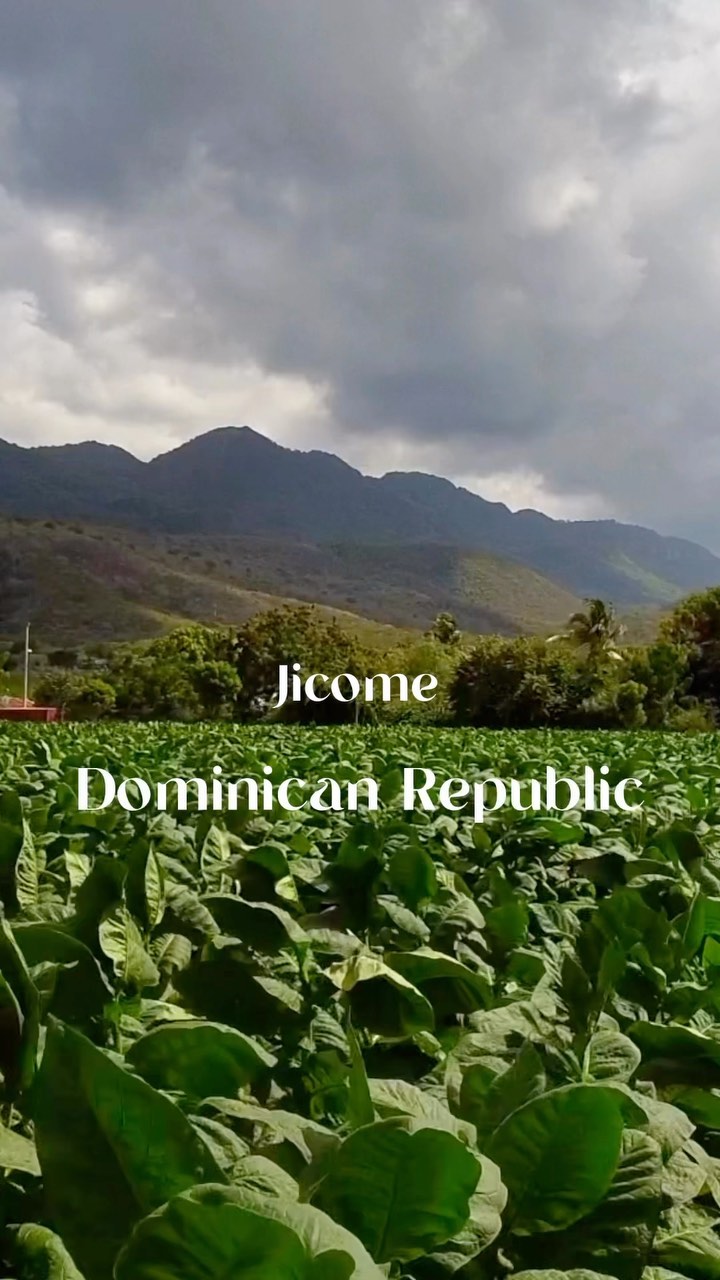 The Dominican Republic is the world's leading producer of quality cigars  and has earned the nickname of Country of Cigars. Learn more about this  during our Cigar Rolling Class, every Friday at