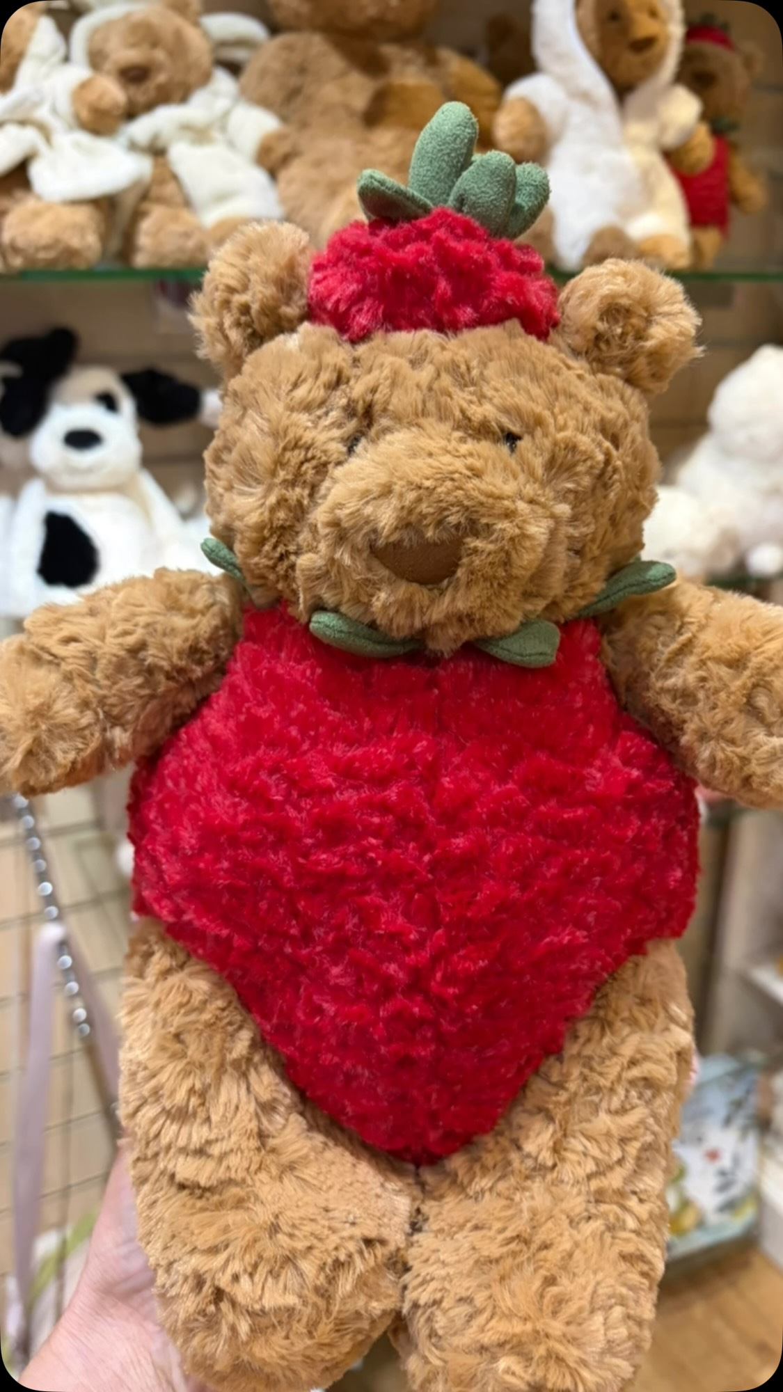🍓 BARTHOLOMEW BEAR STRAWBERRY IS HERE! 🍓🐻 The utterly adorable