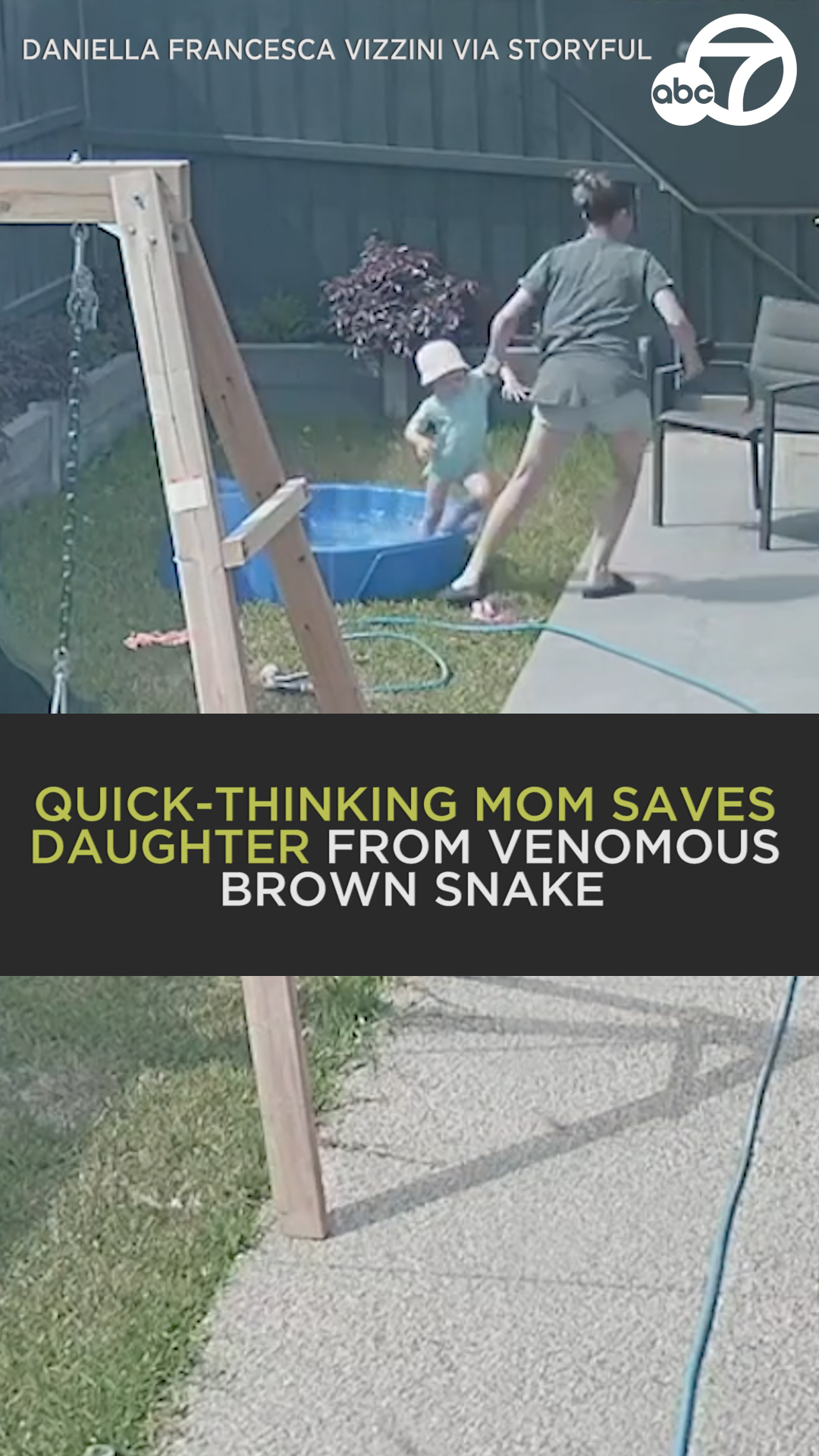 Quick-thinking mum saves daughter from venomous brown snake | Melbourne ...