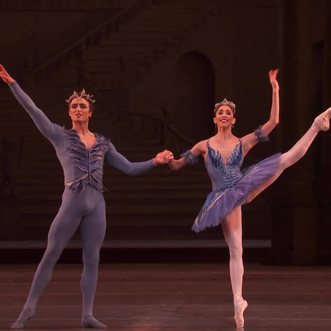 Royal Opera House The Sleeping Beauty Bluebird And Princess Florine Pas De Deux The Royal Ballet Facebook the sleeping beauty bluebird and princess florine pas de deux the royal ballet facebook