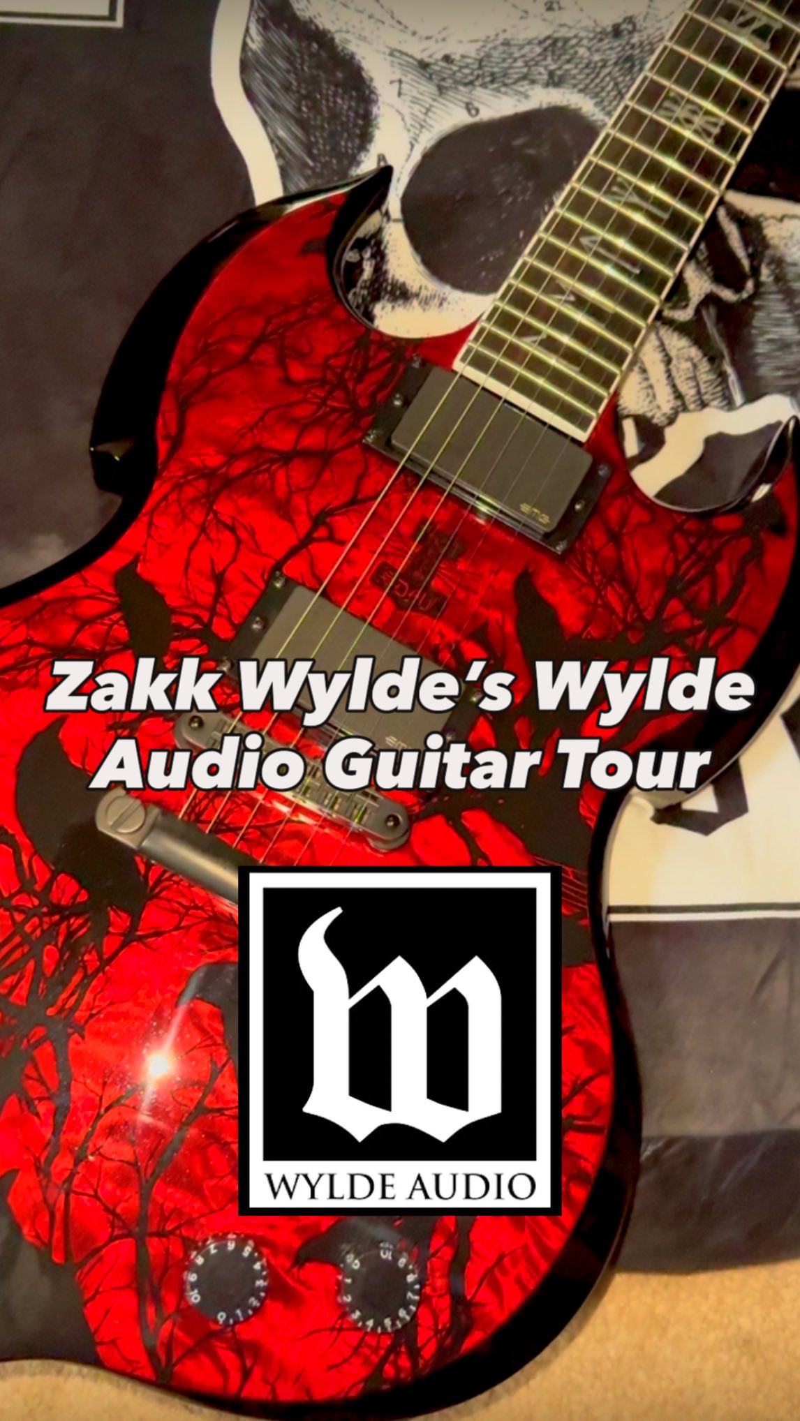 Al Di Meola posted this here with guitar monster Zack Wylde - Al