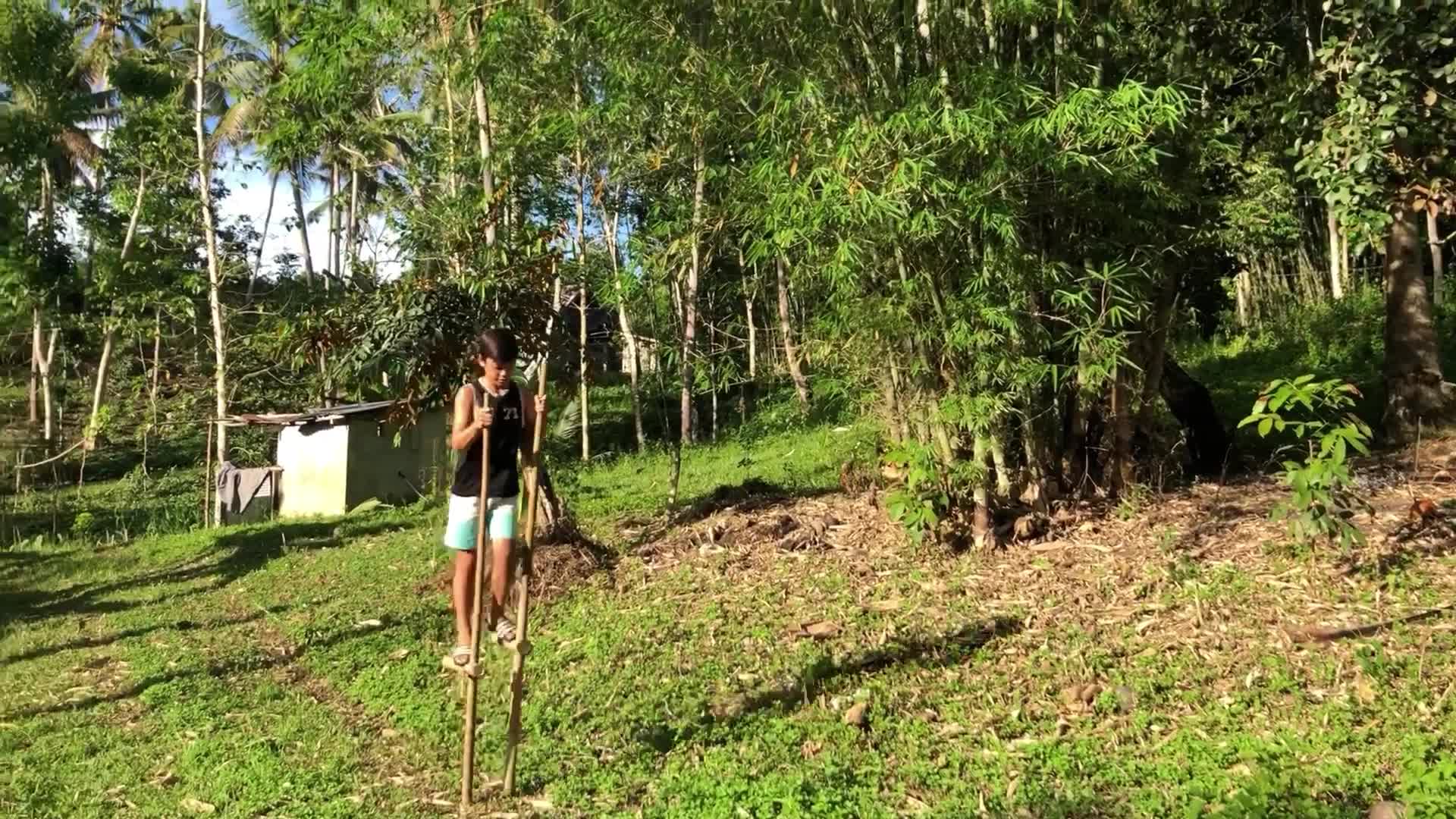 a busy week in the countryside (FULLVIDEO) [Reuploading | May 10, 2021 ...