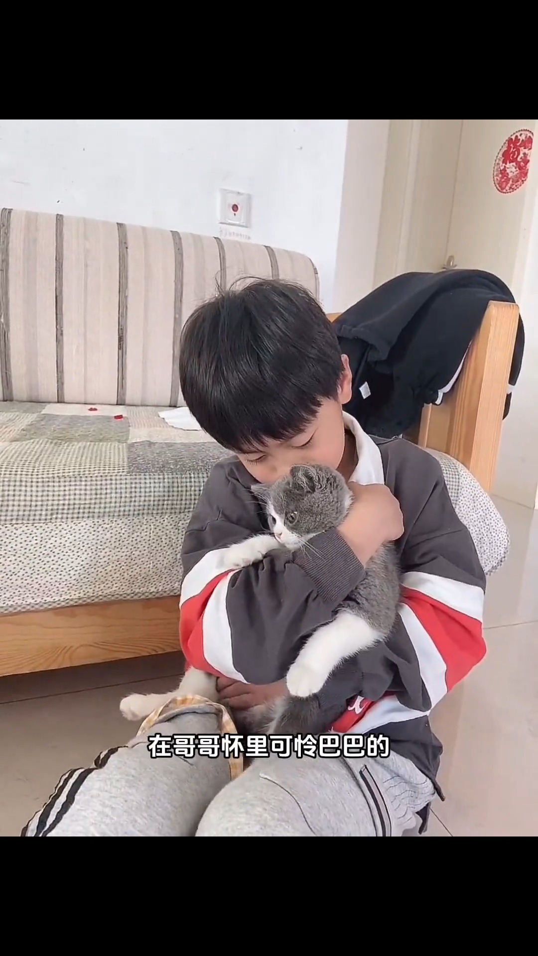 猫主子的“抱抱绑架”：不抱？生气给你看个够 #萌宠 #宠物和孩子 #人类幼崽的日常 #萌宠出道计划 #哥哥和泡芙 | 奶油泡芙不能吃 ...