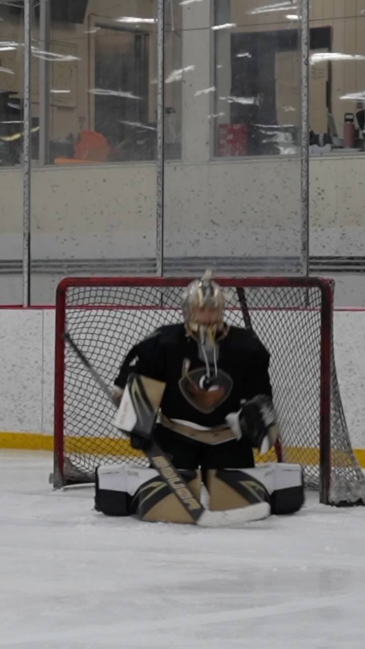 60 saves for the Win, a fight and an assist. A debut start even Gordie ...