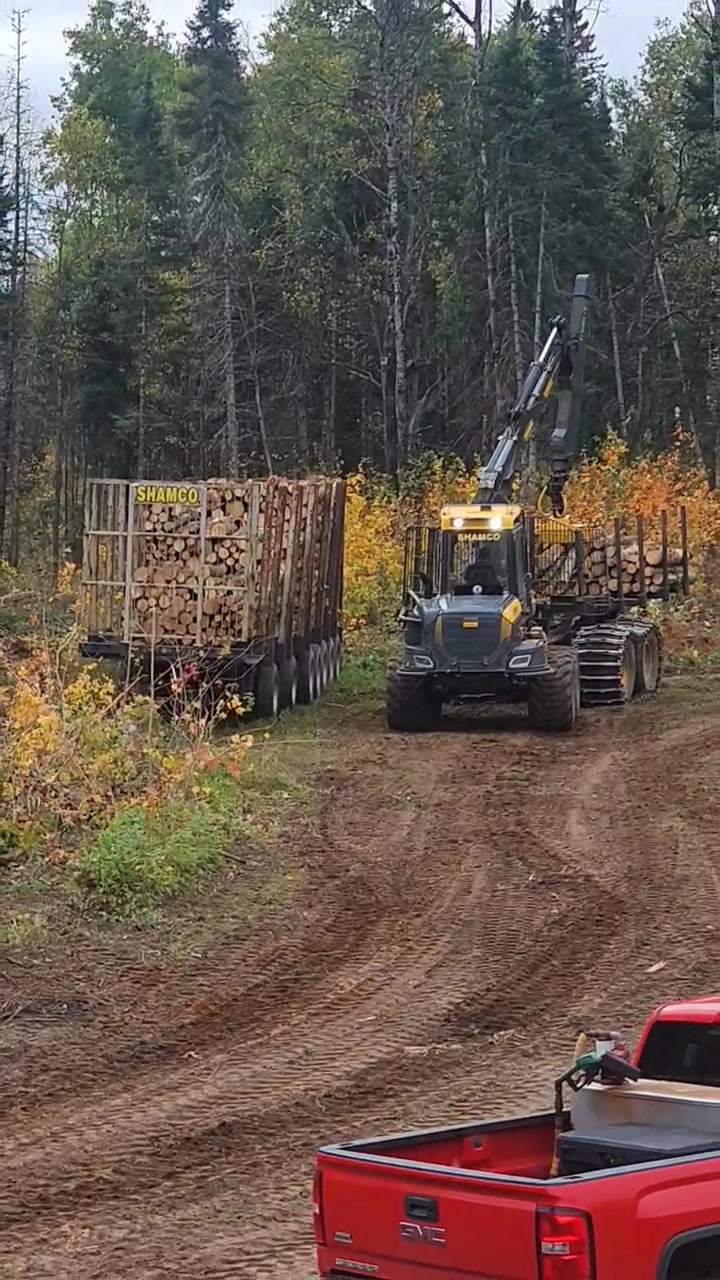 Fall logging 🍂 Cool mornings, bright colors, and steady work in the ...