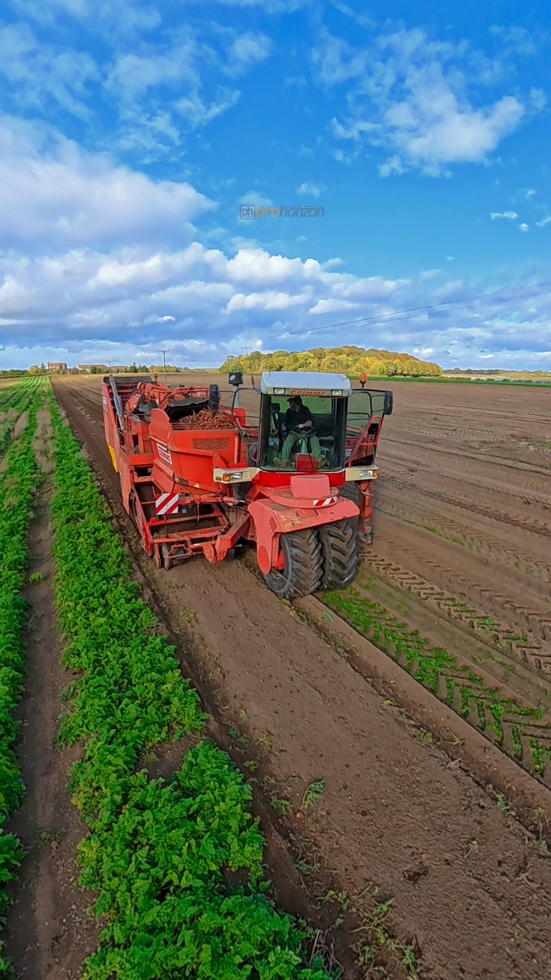 In the field harvesting carrots with George Roworth and his new to him ...