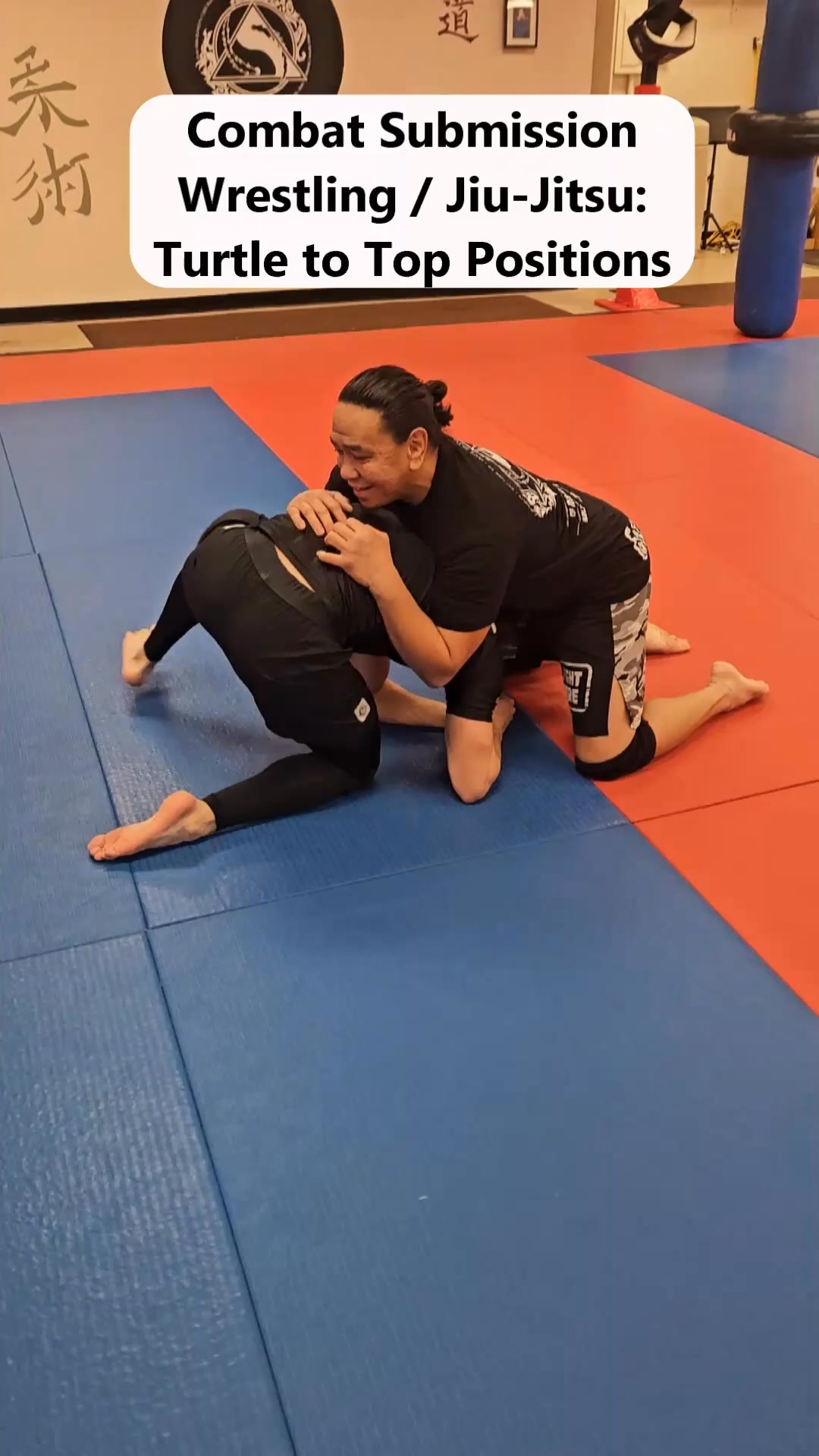 Combat Submission Wrestling / Jiu-Jitsu: Turtle to Top Positions ...
