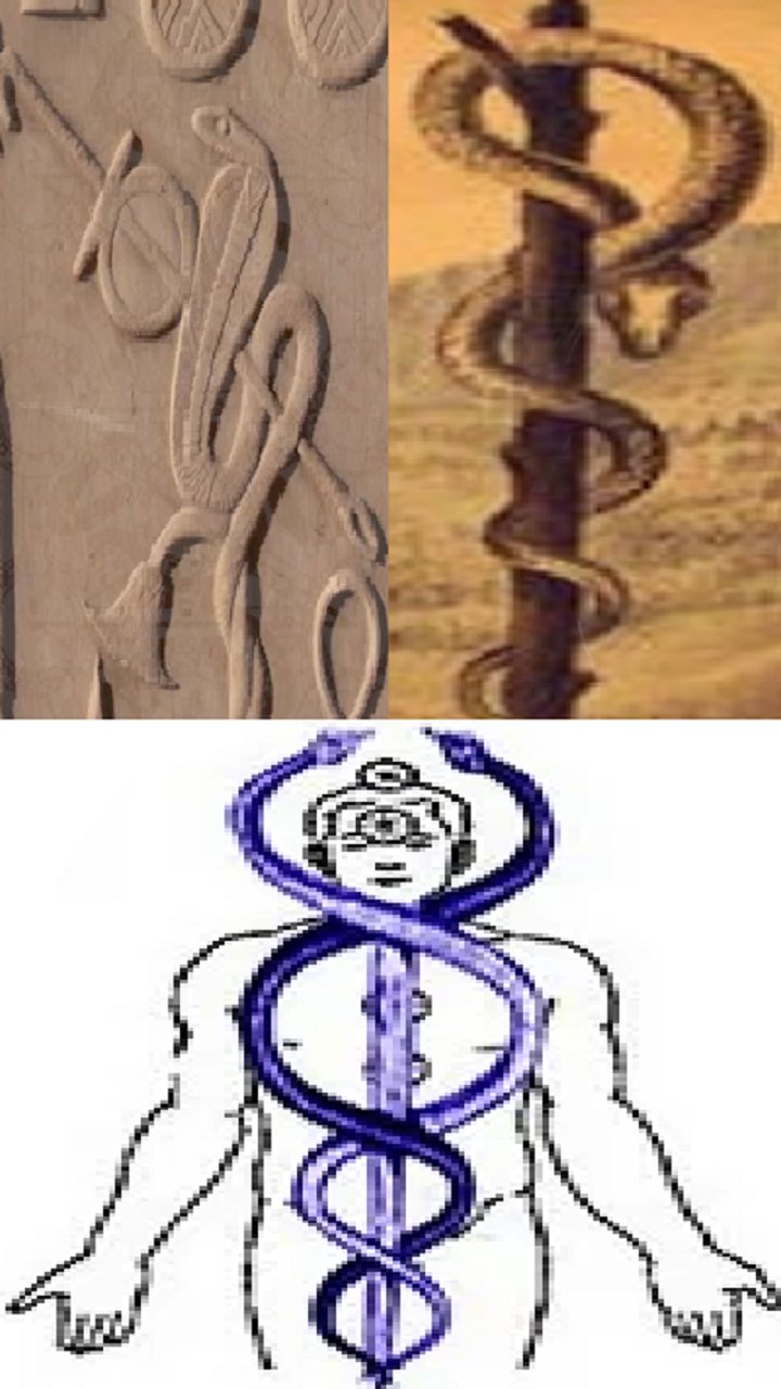 Serpent symbolism was never meant to represent evil. In the Book of ...