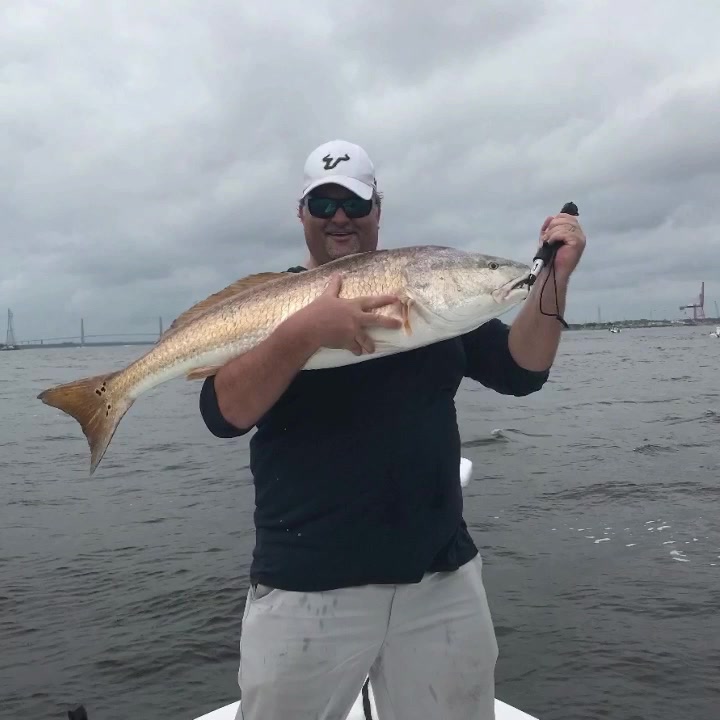 The Bull Reds are here! Here are just a few of our catches from last ...