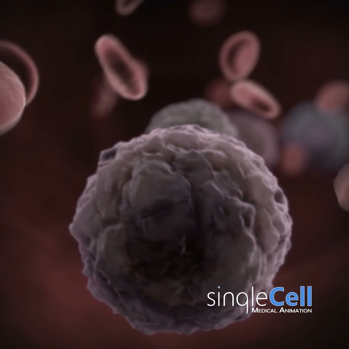 Metastasis is when cancer cells break away from the primary site and ...