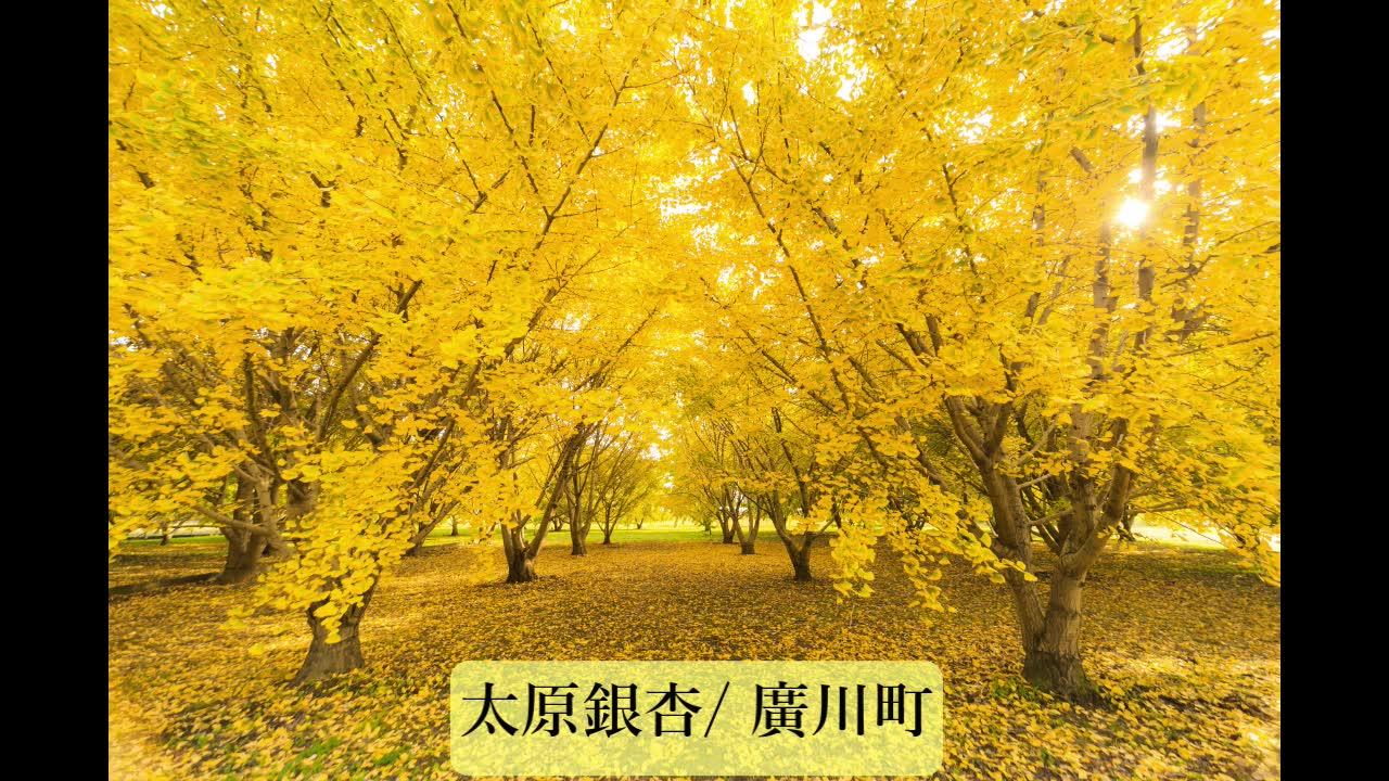 福岡縣旅遊網 福岡之秋天 Facebook