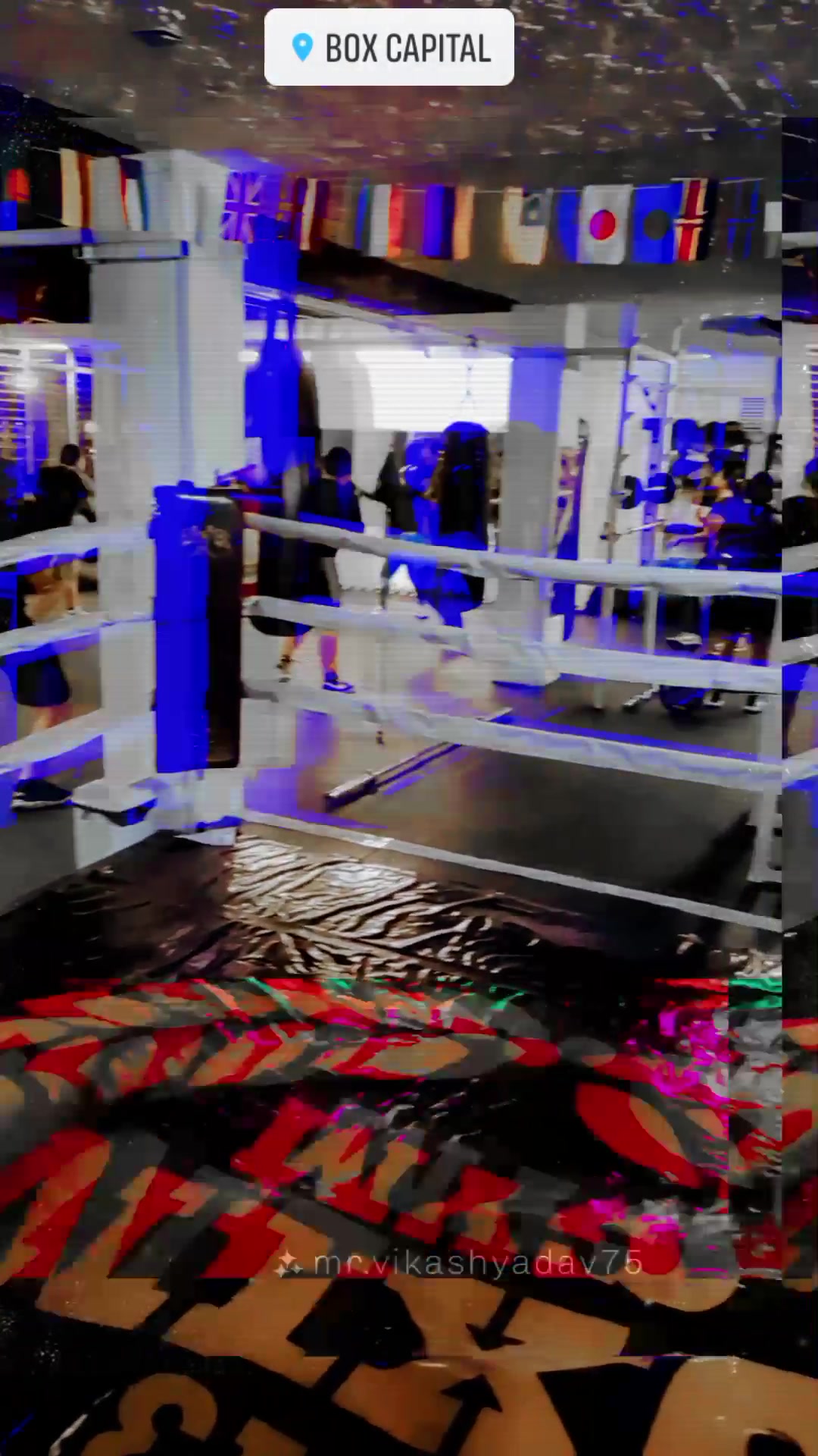 Box Capital | Guadalajara