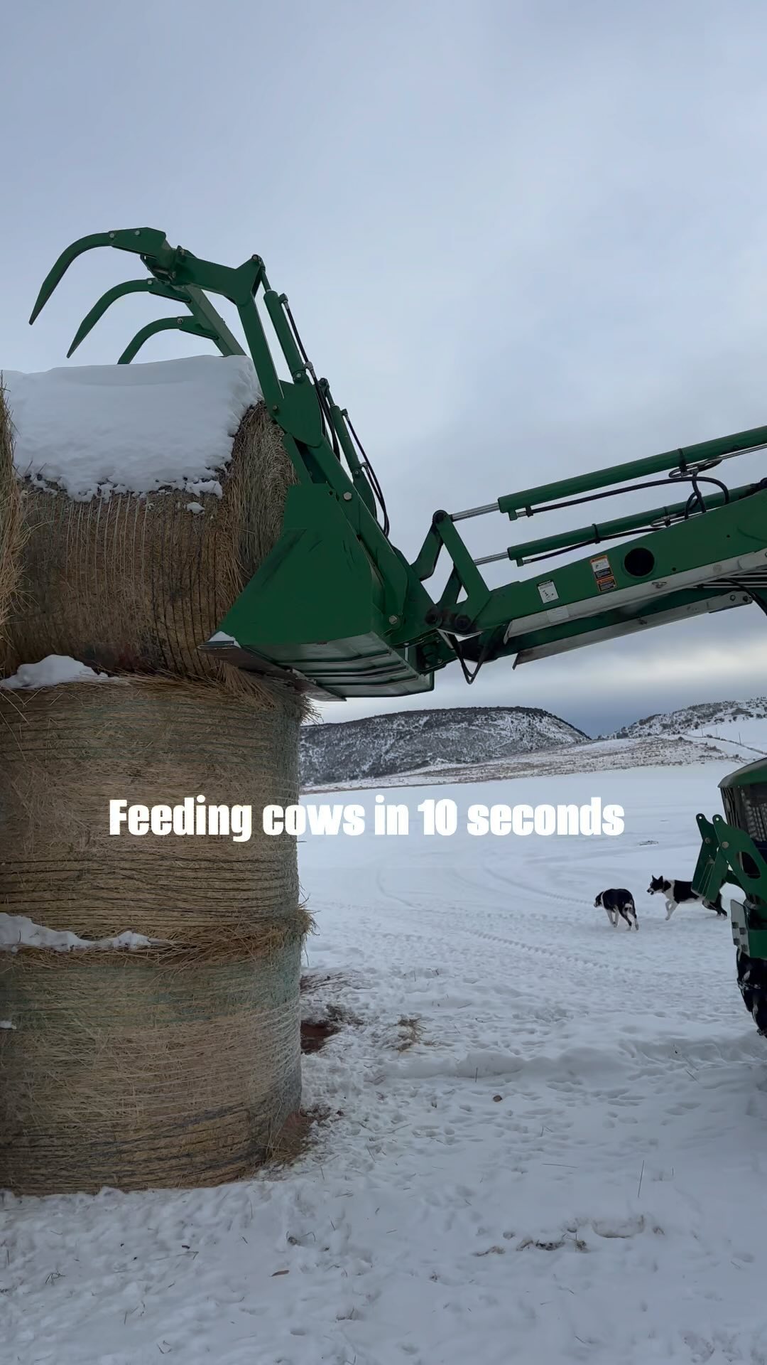 Feeding. One of the biggest winter chores on the ranch. Always have to ...